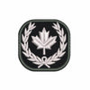 (DN) Custom Patch (2 x 2")