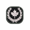 (DN) Custom Patch (2 x 2")