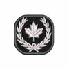 (DN) Custom Patch (2 x 2")