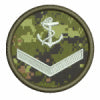 (DN) Custom Patch (2")