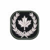 (DN) Custom Patch (2 x 2")
