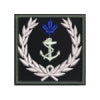 (DN) Custom Patch (2 x 2")