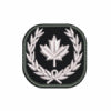 (DN) Custom Patch (2 x 2")