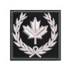 (DN) Custom Patch (2 x 2")