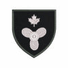 (DN) Custom Patch (2.75" x 3")
