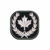 (DN) Custom Patch (2 x 2")