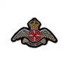 JTAC-I Wings badge
