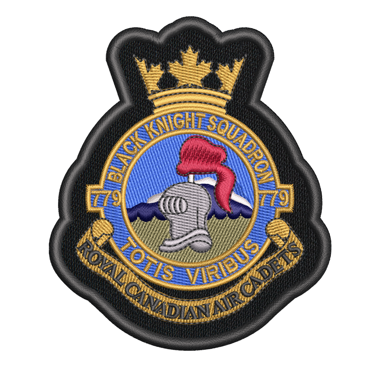Air Cadet Badges (501 to 999)