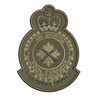1 Air Division Badge