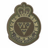 CJIRU Badge