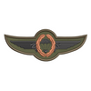 German Jump Wings Badge