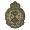 Joint Task Force X Badge