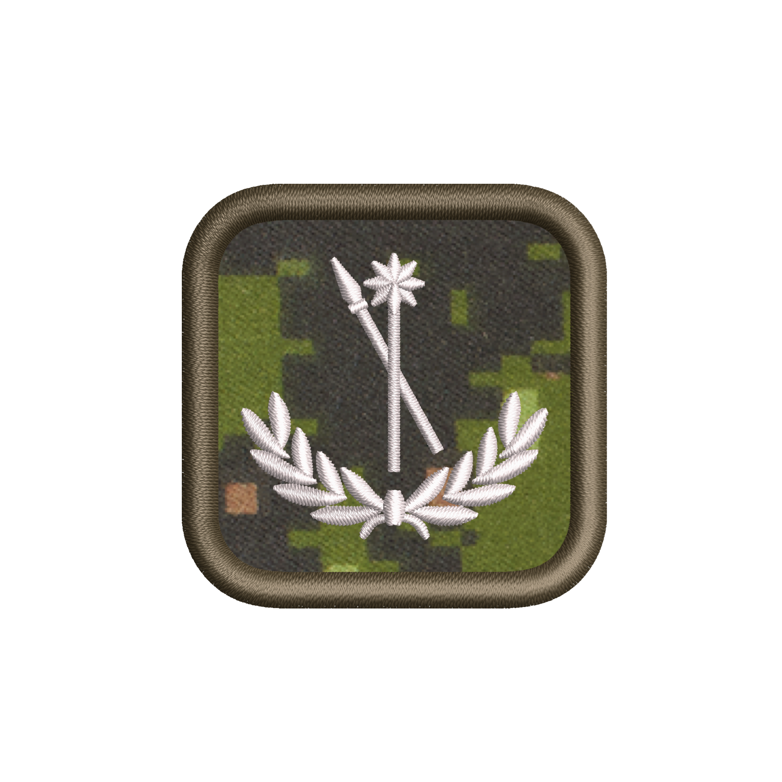 C INT C Intelligence Specialist Badges (Level 1-4)