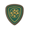 CFIOG Badge