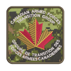 CAF Transition Group badge