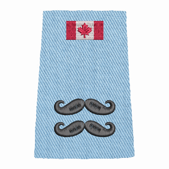 Movember Slip-Ons