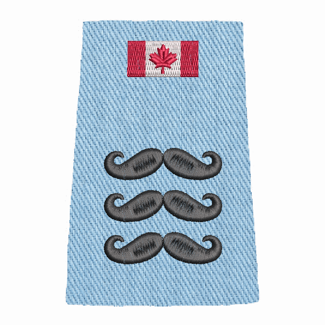 Movember Slip-Ons