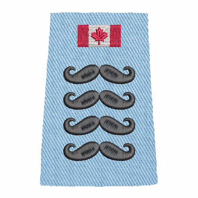 Movember Slip-Ons