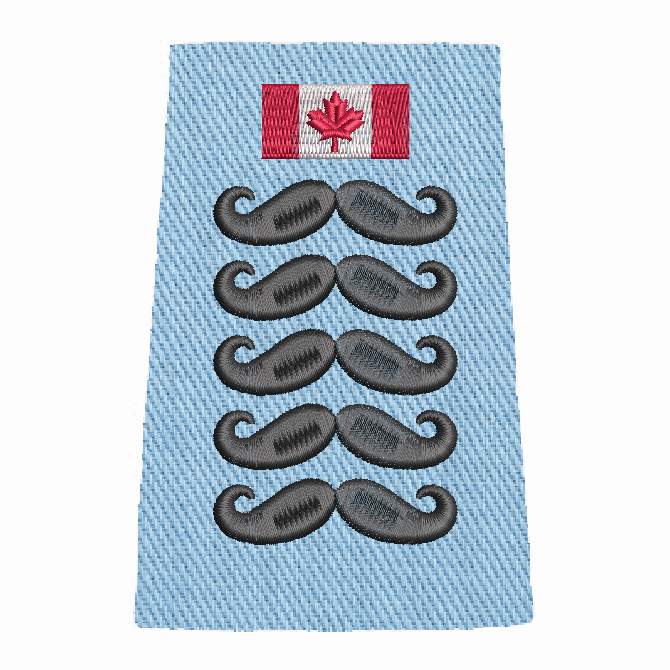 Movember Slip-Ons