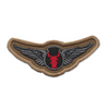 Aviation Brigade, 34th Infantry Division Badge