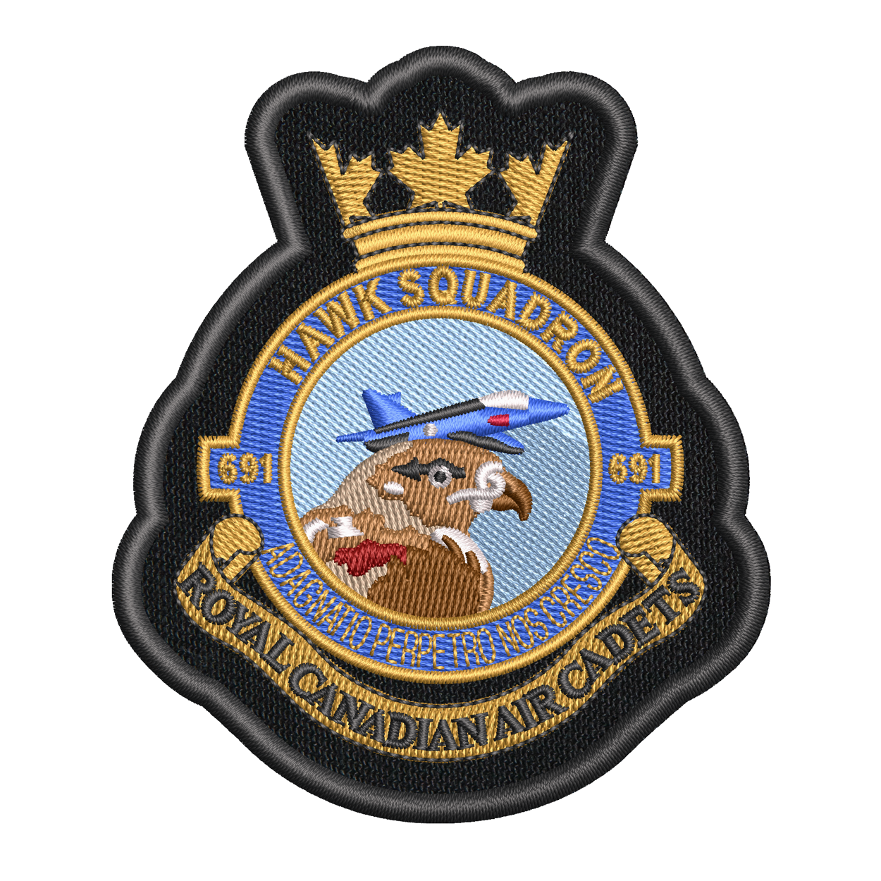 Air Cadet Badges (501 to 999)