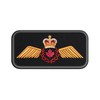 Pilot Operational Wing Badge