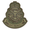 VCDS Badge