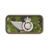 Fire Fighter Operational Wing Badge