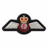 All Airforce Wing Badges