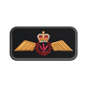 AES Op Wings Operational Badge