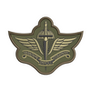 PPCLI Parachute Company Logo