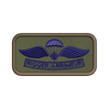 Parachutist Rigger Arrimeur Wing Badge