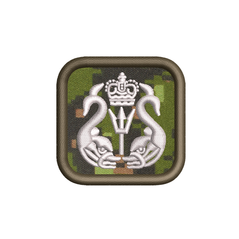 Ship/shallow Water Diver Patch