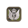 Aeromedical Evacuation Badge
