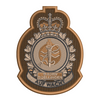 CFB & CFS badges