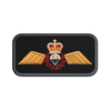 SAR Tech Wings Operational Badge