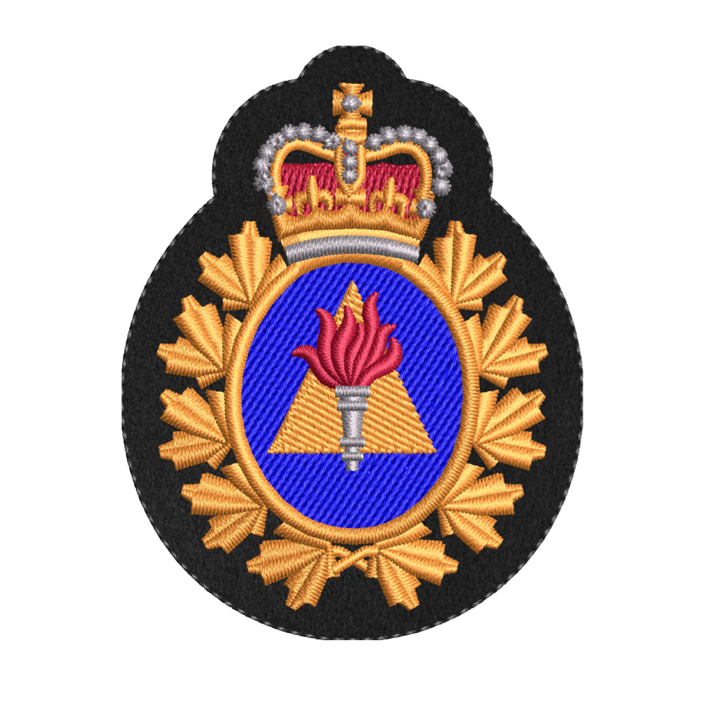 TDO Cap Badge
