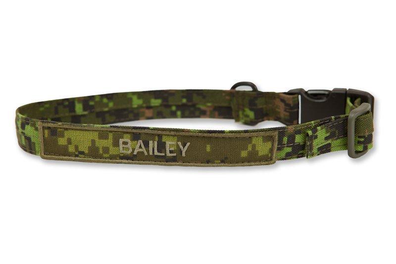 Dog belts clearance with name