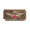 Parachutist Wing Badge