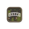 RECCE Badge