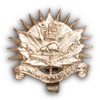 Royal Westminster Reg Beret Badge